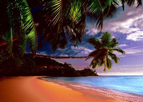 Palm Trees Tropical Island Wallpapers - Wallpaper Cave