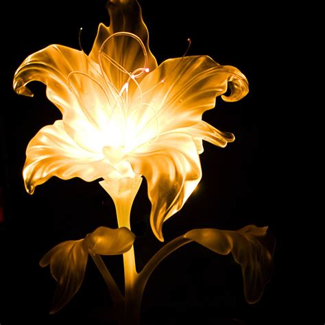 a flower that is glowing in the dark