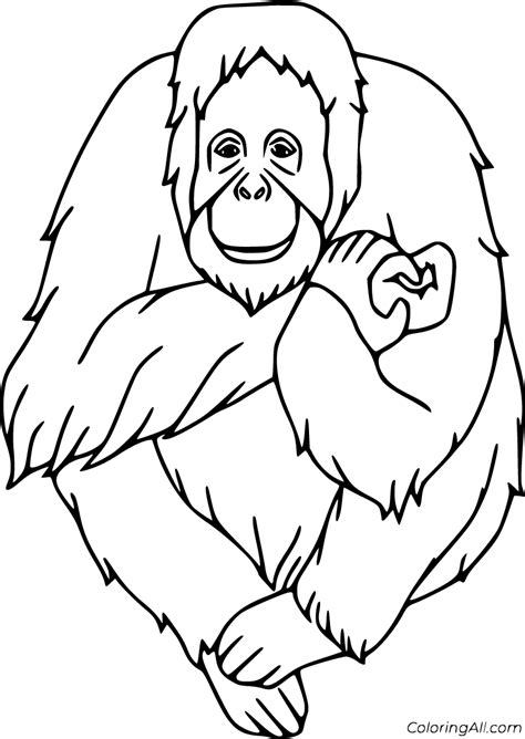 16 free printable Orangutan coloring pages, easy to print from any ...