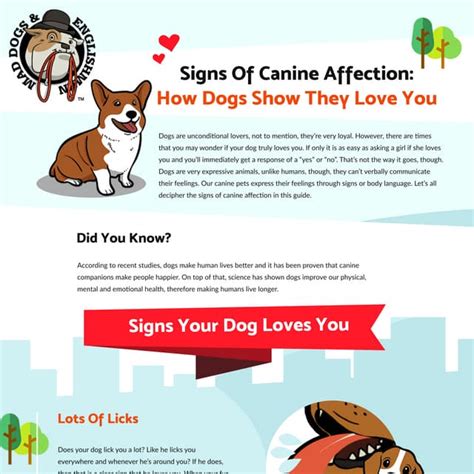 Signs of Canine Affection: How Dogs Show They Love You | PDF