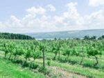 6 Best Keuka Lake Wineries (2024 Wine Tasting Guide)