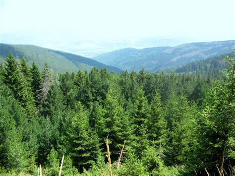 Vitosha Mountain Sights & Attractions - Project Expedition