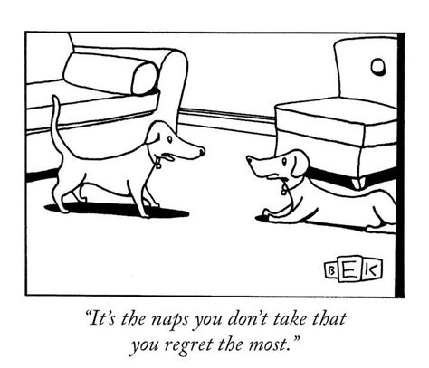 15 Perfect Reasons To Love The New Yorker Cartoons - World's largest collection of cat memes and ...