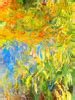 Répliques de Monet - Picturalissime