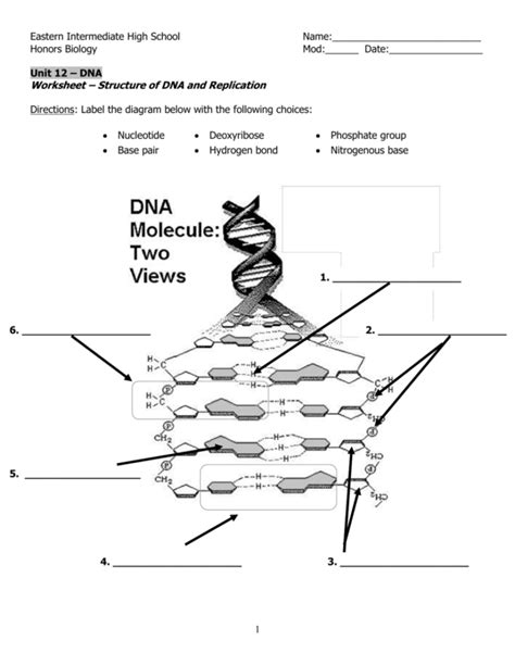 Dna Structure And Replication Worksheet Answers — db-excel.com