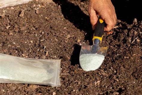 7 Ways to Make Your Soil More Acidic