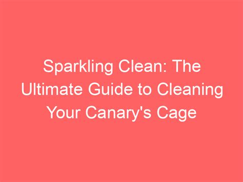 Sparkling Clean: The Ultimate Guide to Cleaning Your Canary's Cage - My Pet Canary