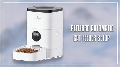 Petlibro Automatic Cat Feeder Setup (Step-by-step Guide)