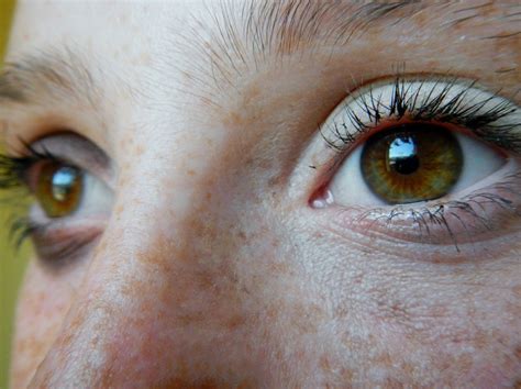 Eyes Free Stock Photo - Public Domain Pictures
