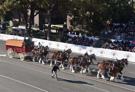 Budweiser Clydesdales - Information 1000 KSOO