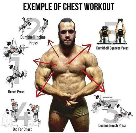 Exercises for Every Part of the Chest | Videos & Guides - weighteasyloss