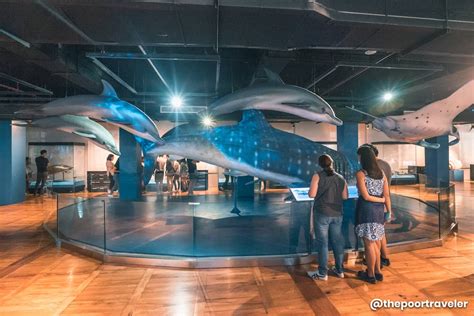 NATIONAL MUSEUM OF NATURAL HISTORY in MANILA: Guide for First-Timers ...