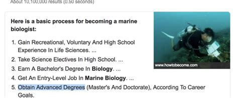 How to become a Marine Biologist! - GLOW - The Global Wetlands Project