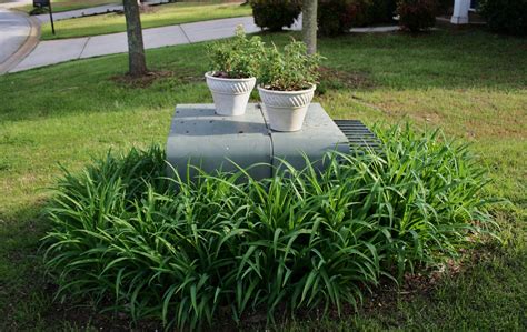 Green Cable Box Front Yard – HomeDecorish