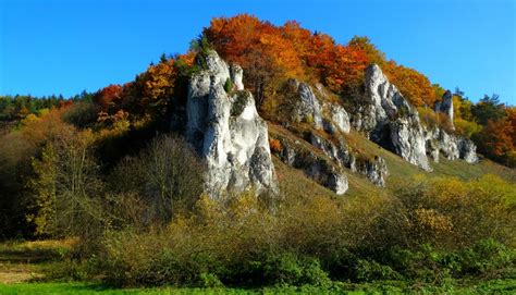Free Images : landscape, tree, forest, meadow, leaf, autumn, season, rocks, poland, deciduous ...