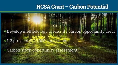 Influencing Forest Carbon Sequestration and Storage on Private Land ...