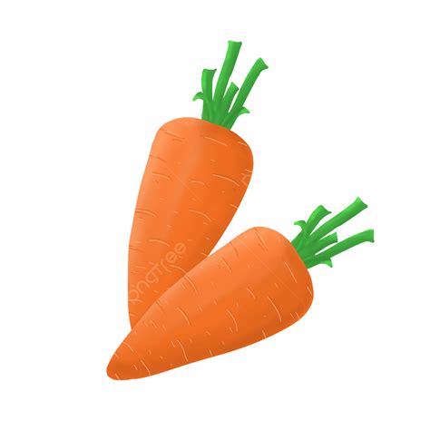 Free Downloadable Clipart Carrots