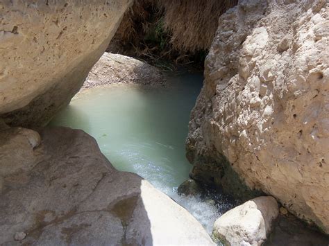 Nature of Israel: Places, Plants and Animals