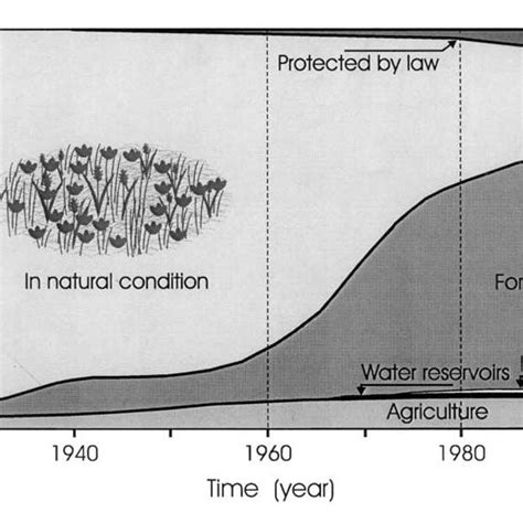 Gaseous carbon cycle, typical of an unvegetated cut-away peatland.... | Download Scientific Diagram