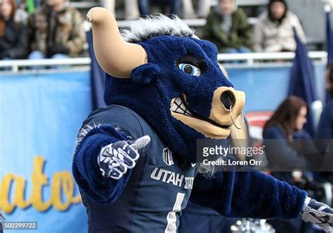 839 Aggies Mascot Stock Photos, High-Res Pictures, and Images - Getty ...