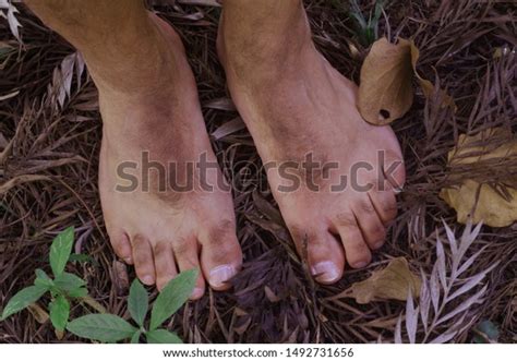 Hobbit Feet Photos and Images | Shutterstock