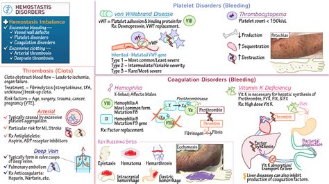 Hematologic disorders | Von willebrand disease, Nursing school survival, Nurse study notes