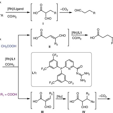 Proposed reaction mechanism. It includes Rh-catalyzed hydroformylation... | Download Scientific ...