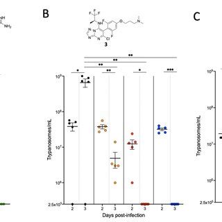 Effect of TPD treatment on blood parasitemia in mice infected with T.... | Download Scientific ...