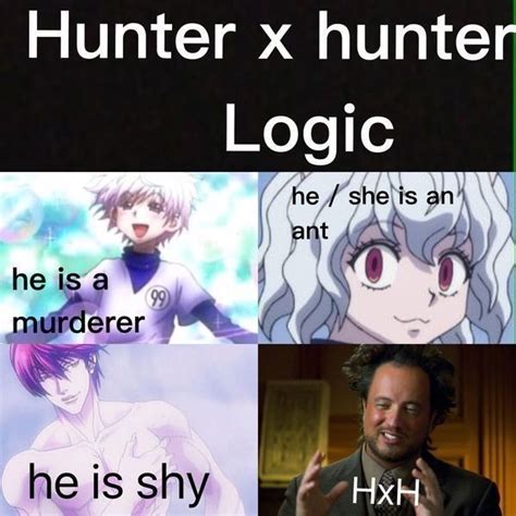 Some of my favorite Hunter x Hunter memes... - ah yes the logic - Wattpad