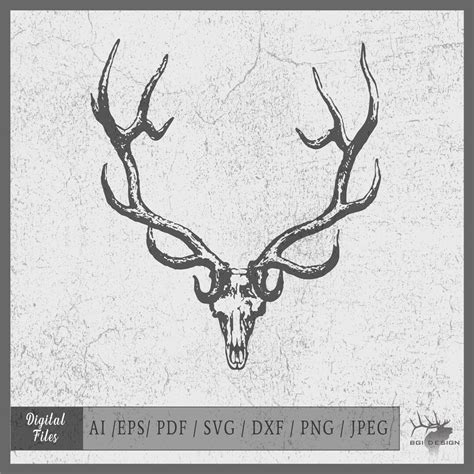 Elk Skull 3 Vector Eps / Ai / Svg / Pdf / Jpeg / Png Elk Silhouette - Etsy