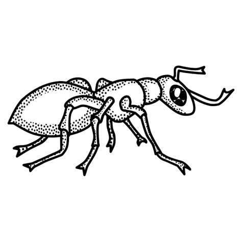 Vector drawing of black and white spotty ant | Free SVG