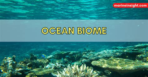 What is Ocean Biome?