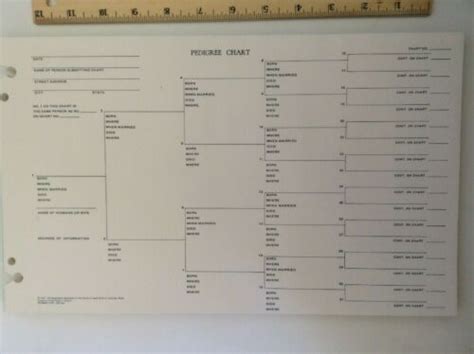 Lds Pedigree Chart