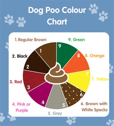 Dog Poo Colour Chart