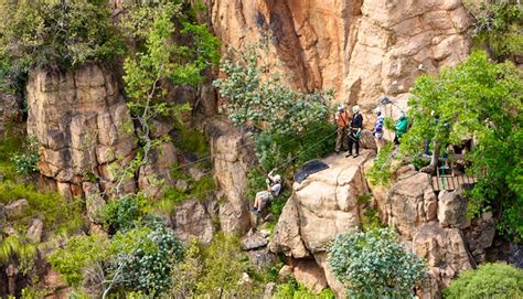 More about Magaliesberg Canopy Tour | TravelGround