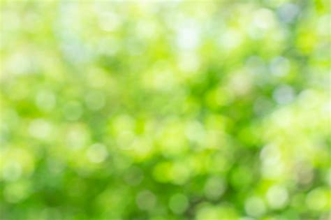 Free Photo | Sunny defocused green nature background, abstract bokeh effect es element for your ...
