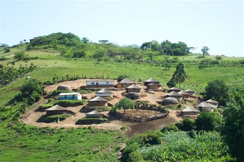 zulu homestead. Houses for the patriarch and his wives and other ...