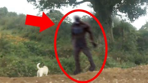 5 Scary Things Caught On Camera & In Real Life - BIGFOOT - YouTube