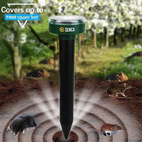 SENCA LED Solar Powered Sonic Mole Repellent, 4 Pack, Ultrasonic Pest ...