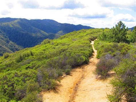 Trabuco Canyon Photos - Southern California Guided Mountain Biking Tours