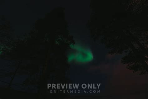 Aurora In The Night Sky - Stock Photos | YNOTmedia