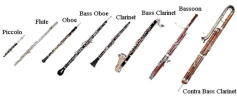 Woodwinds - Instrument Families