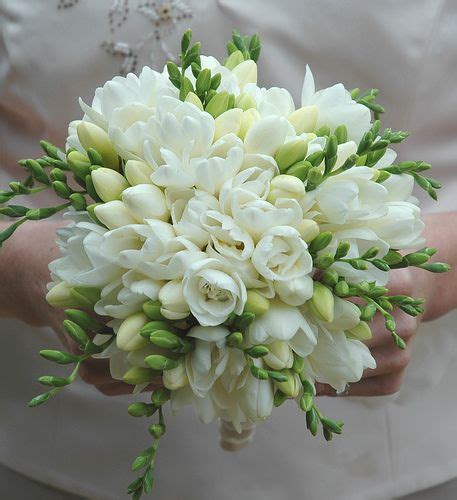 white freesia bouquet | Flower bouquet wedding, Freesia bouquet, Freesia wedding bouquet