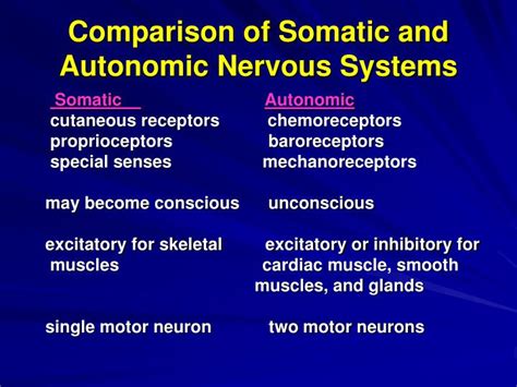 PPT - Autonomic Nervous System PowerPoint Presentation - ID:870509