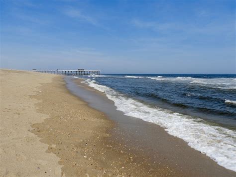 It's All About Purple: Belmar Beach...