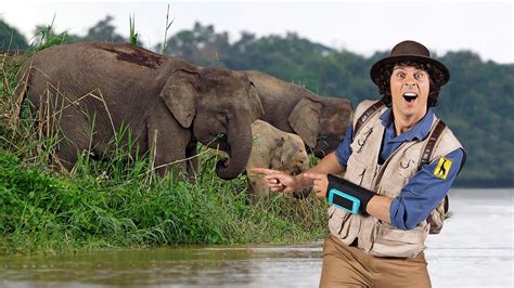 BBC iPlayer - Andys Safari Adventures - Series 1: 40. Andy and the ...