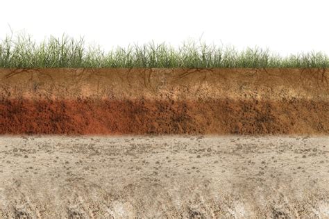 Premium Photo | Underground soil layer of cross-section earth with grass on the top with white ...