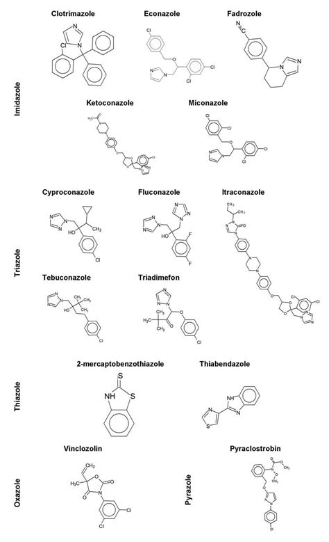 Classification and molecular structure of azole fungicides. An azole is... | Download Scientific ...