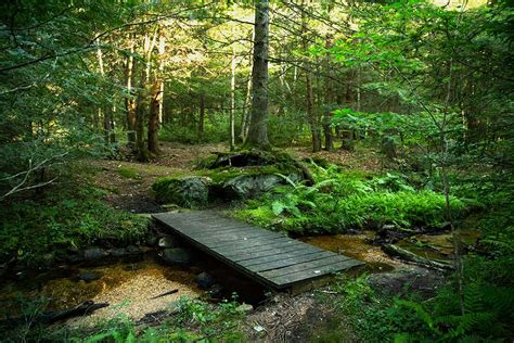 Allegheny National Forest Hiking Trails — Allegheny Outfitters