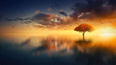 Download Nature Lake Sunset Tree 4k Ultra HD Wallpaper by Johannes Plenio